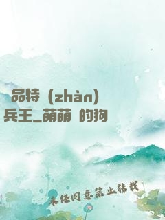 極品特戰(zhàn)兵王