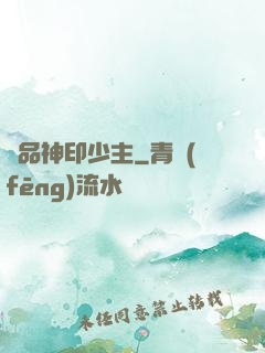 極品神印少主