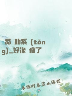 極品輔助系統(tǒng)