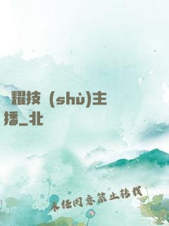 榮耀技術(shù)主播
