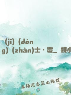 機(jī)動(dòng)戰(zhàn)士·零