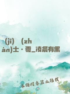 機(jī)動戰(zhàn)士·零