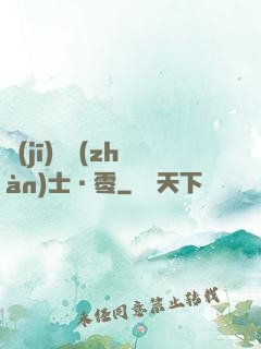 機(jī)動戰(zhàn)士·零