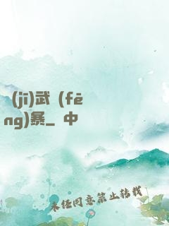 機(jī)武風(fēng)暴
