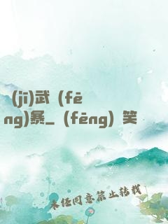 機(jī)武風(fēng)暴