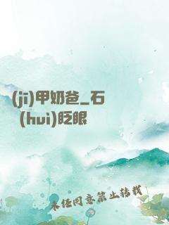 機(jī)甲奶爸