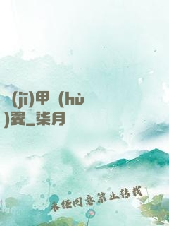機(jī)甲護(hù)翼