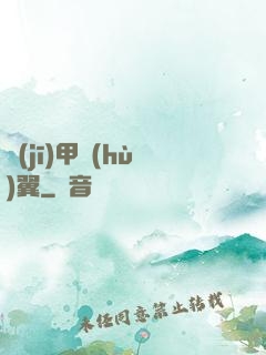 機(jī)甲護(hù)翼