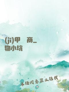 機(jī)甲販賣商