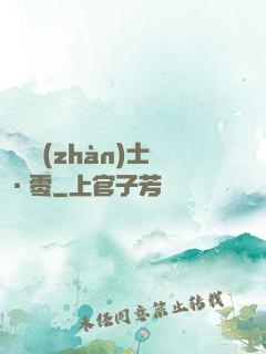 機動戰(zhàn)士·零