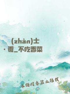 機動戰(zhàn)士·零