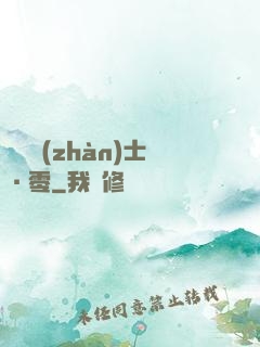 機動戰(zhàn)士·零