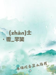 機動戰(zhàn)士·零