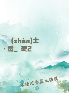 機動戰(zhàn)士·零