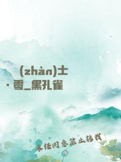 機動戰(zhàn)士·零