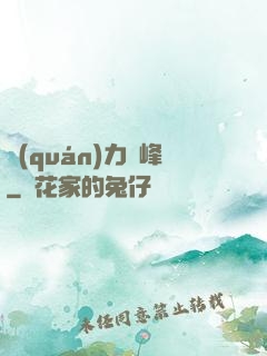 權(quán)力巔峰