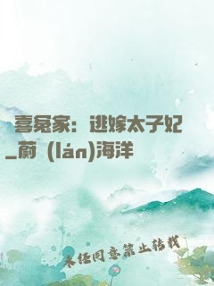 歡喜冤家：逃嫁太子妃
