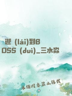 歡迎來(lái)到BOSS隊(duì)