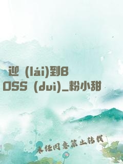 歡迎來(lái)到BOSS隊(duì)