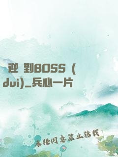歡迎來到BOSS隊(duì)