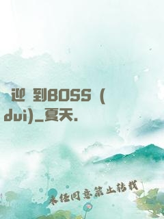 歡迎來到BOSS隊(duì)