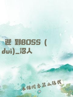 歡迎來到BOSS隊(duì)