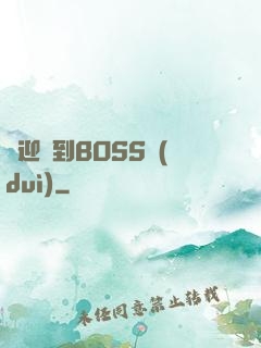 歡迎來到BOSS隊(duì)