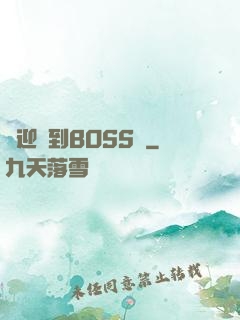 歡迎來到BOSS隊