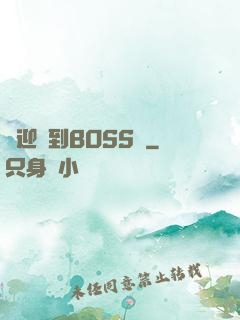 歡迎來到BOSS隊