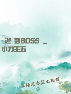 歡迎來到BOSS隊
