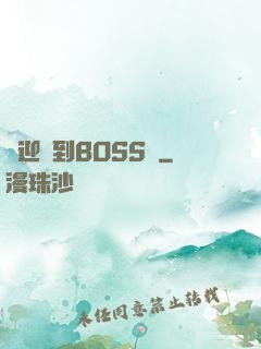 歡迎來到BOSS隊