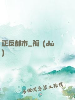 正反都市