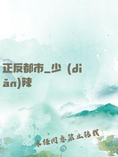 正反都市