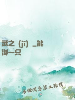 武之機(jī)鎧