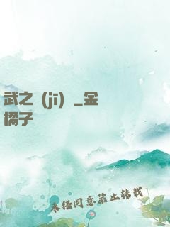 武之機(jī)鎧