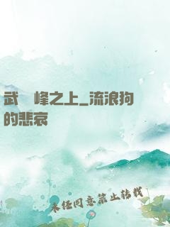 武俠巔峰之上
