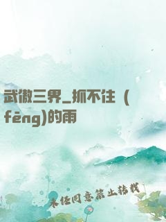 武傲三界