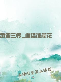 武傲三界