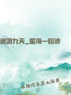武傲九天