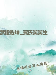 武傲乾坤
