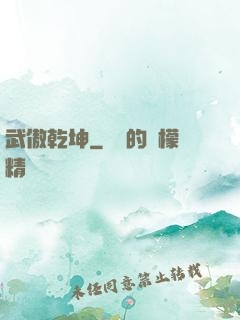 武傲乾坤