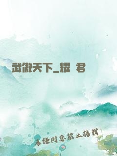 武傲天下