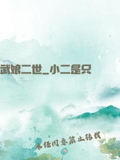 武娘二世