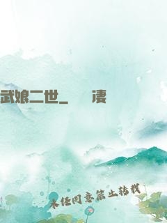 武娘二世