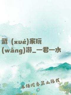 武學(xué)家玩網(wǎng)游