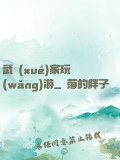 武學(xué)家玩網(wǎng)游