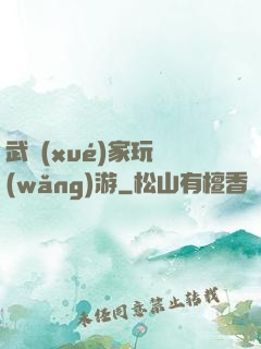 武學(xué)家玩網(wǎng)游