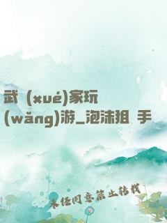 武學(xué)家玩網(wǎng)游