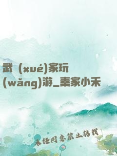 武學(xué)家玩網(wǎng)游