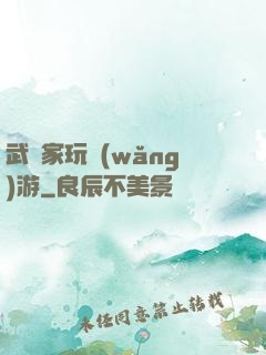 武學家玩網(wǎng)游